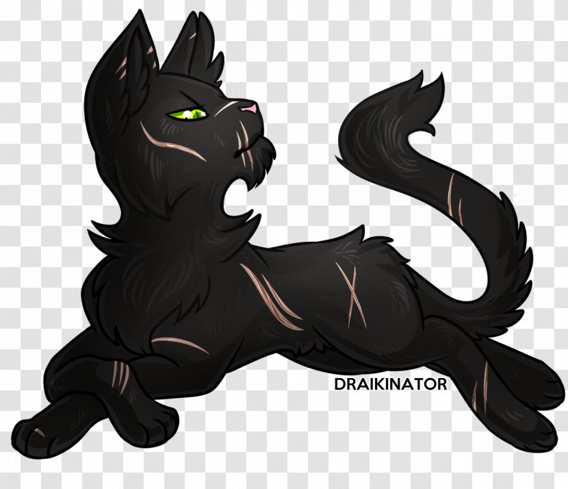 Black Cat Into The Wild Nightstar Warriors - Birchfall Transparent PNG