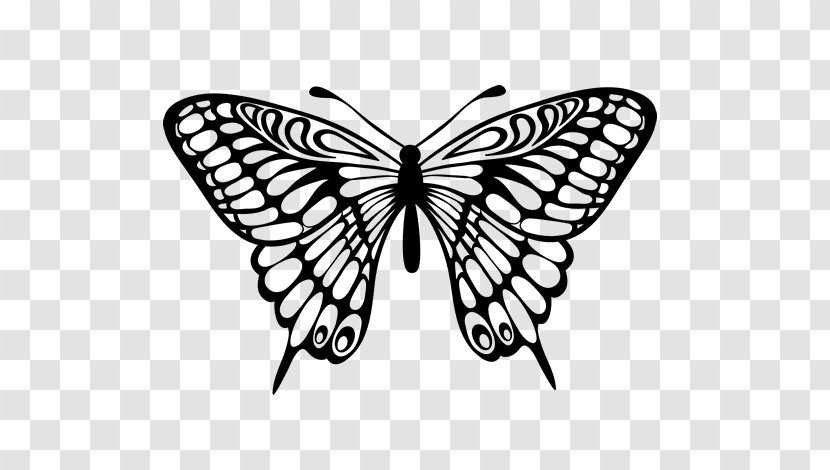 Butterfly Drawing Clip Art - Pollinator Transparent PNG