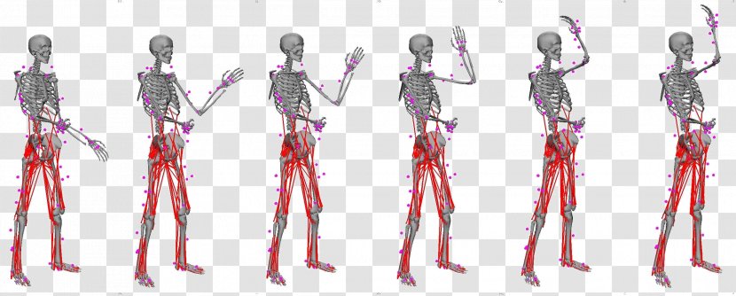 Homo Sapiens Motor Control Wiring Diagram Electric Electrical Engineering - Silhouette - Muscles Of The Skeleton Transparent PNG