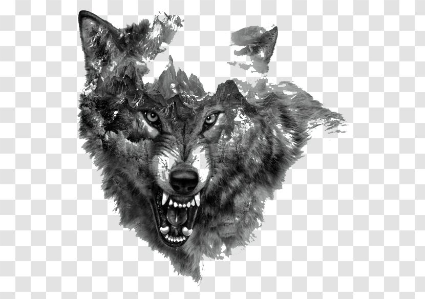 Arctic Wolf Tattoo Northern Rocky Mountain Flash - Cartoon - Painted Transparent PNG