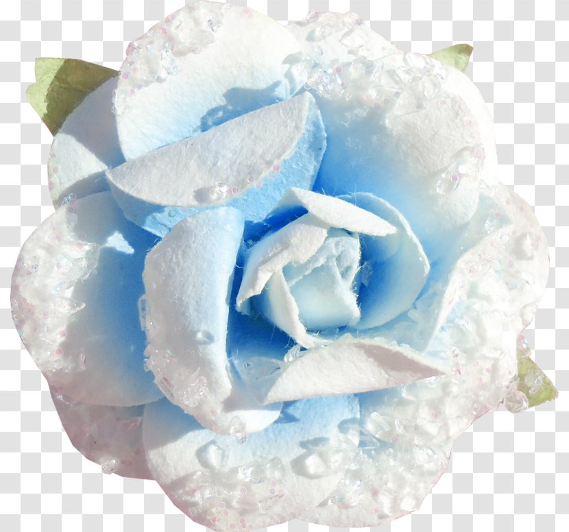 Blue Rose Cut Flowers Petal - Blog Transparent PNG
