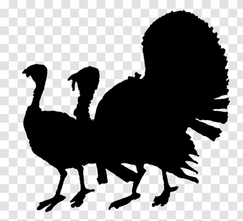 Silhouette Turkey Meat Clip Art - Wildlife Transparent PNG