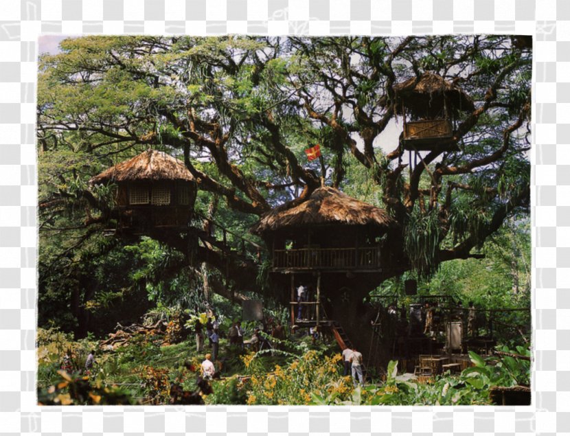 The Swiss Family Robinson Treehouse Tree House Adventure Film - Lush Top Transparent PNG