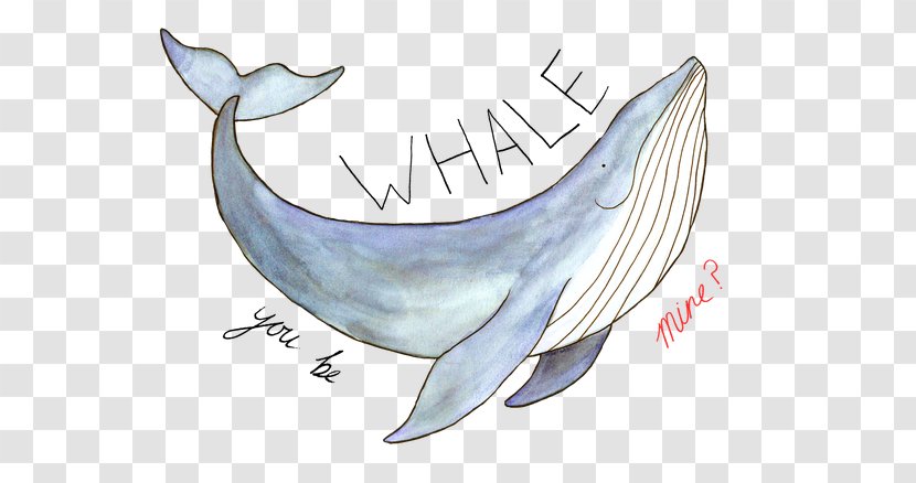 Tucuxi Common Bottlenose Dolphin Porpoise YouTube Cetacea - Marine Mammal - Whale Illustration Transparent PNG
