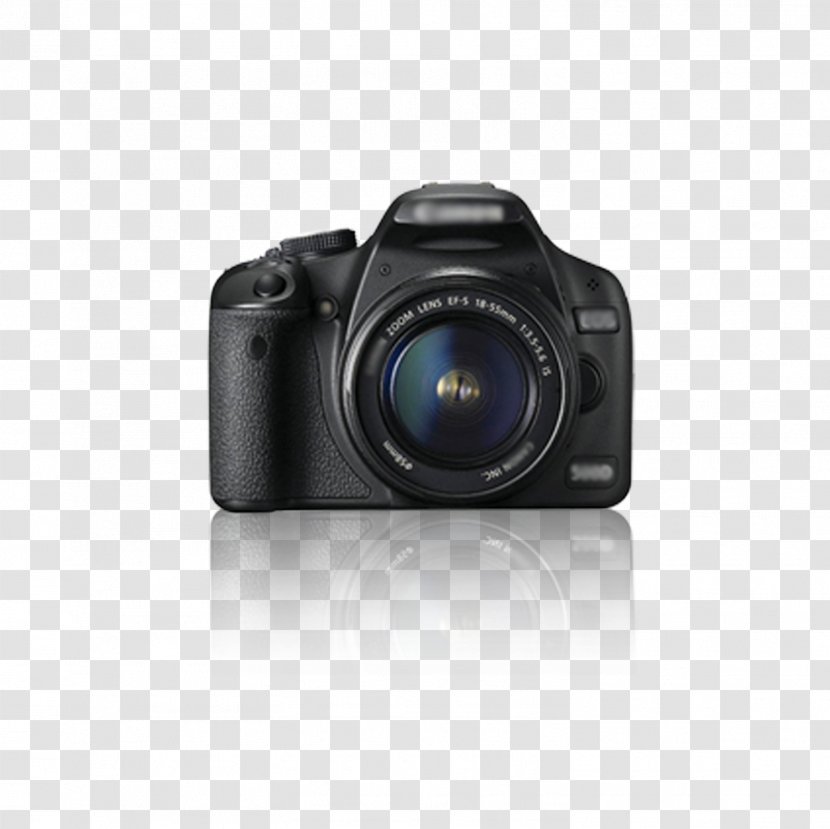 Canon EOS 500D 300D Digital SLR Camera - Micro Single Transparent PNG