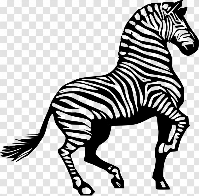 Zebra Black And White Clip Art - Quagga - Realistic Lion Cliparts Transparent PNG