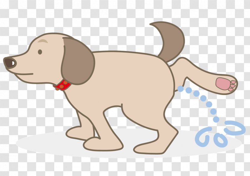 Puppy Dog Breed Sporting Group Retriever - Incontinentie Transparent PNG