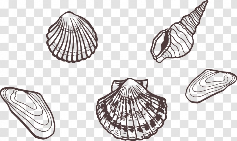 Sea Snail - Black And White - Seafood Shells Painted Artwork Transparent PNG