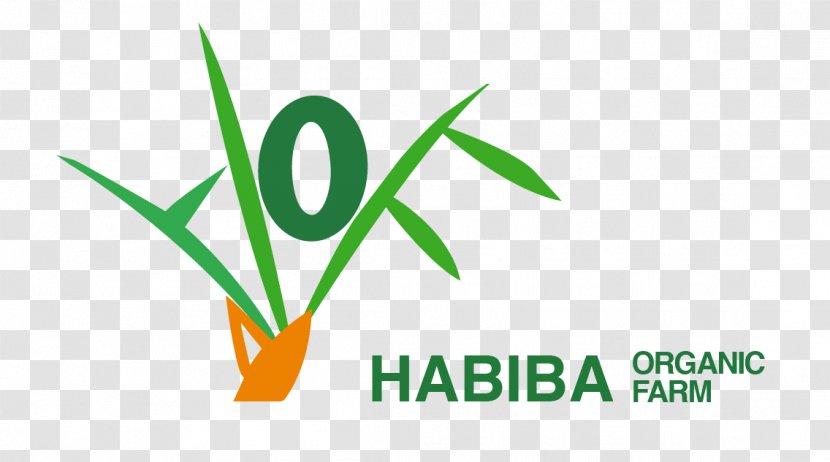 Organic Food Habiba Farm Farming Sinai Peninsula - Plant Stem Transparent PNG