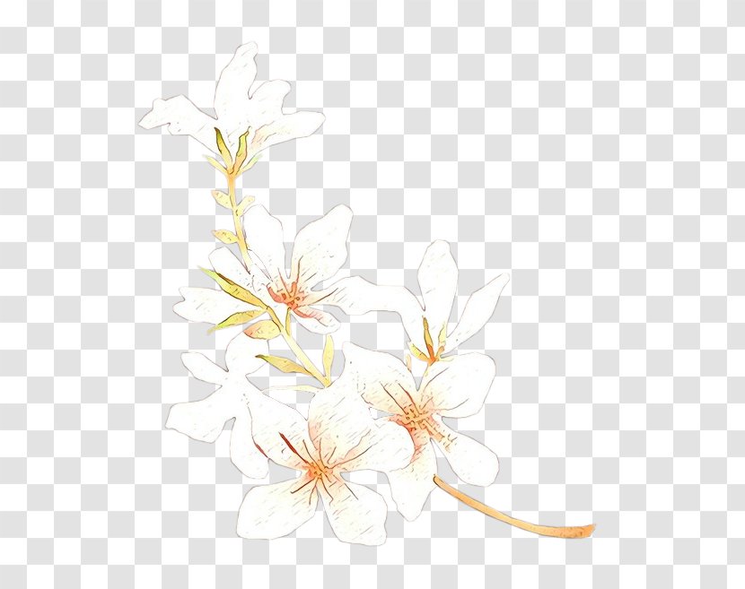 Floral Design Illustration Desktop Wallpaper Plant Stem - Flower - Branch Transparent PNG