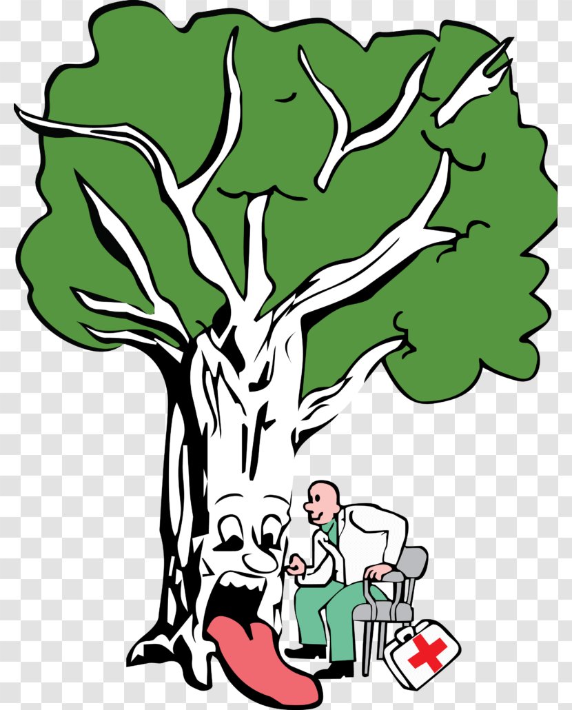 Brockley Tree Service Branch Arborist Pruning - Leaf Transparent PNG