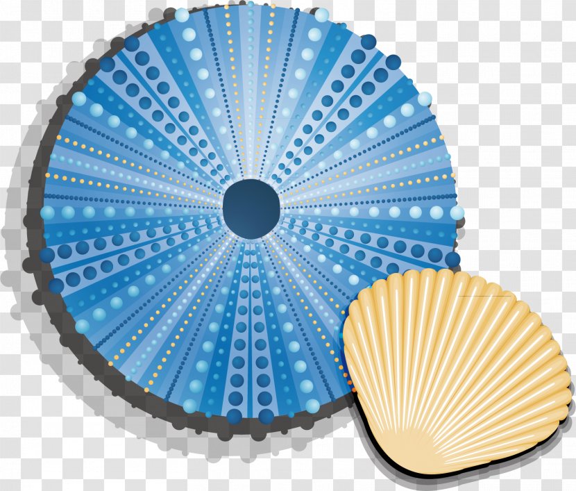 Seashell Euclidean Vector - Sea - Shell Material Picture Transparent PNG
