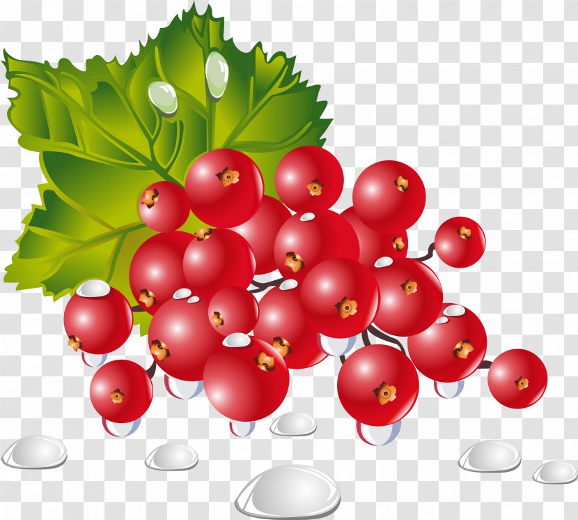 Vegetable Fruit Berry Food Dish - Currant - Berries Transparent PNG