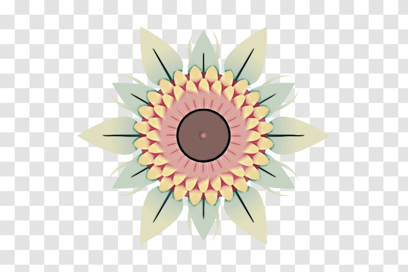 Sunflower - Gerbera - Daisy Family Transparent PNG