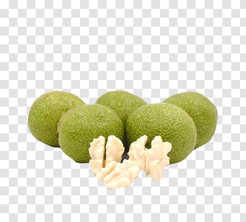 Walnut Juglans Peel - Designer - Bunny Transparent PNG