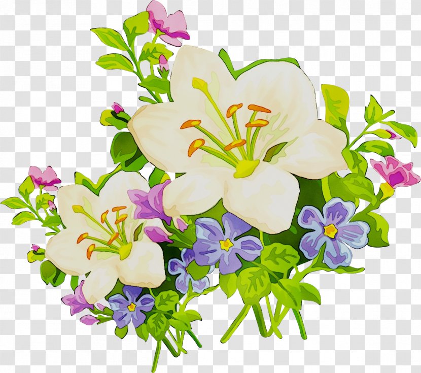 Easter Lily Clip Art Arum-lily Jersey Tiger - Cut Flowers Transparent PNG