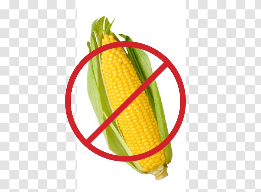 Corn On The Cob Sweet Maize Stock Photography - Commodity - Ear Transparent PNG