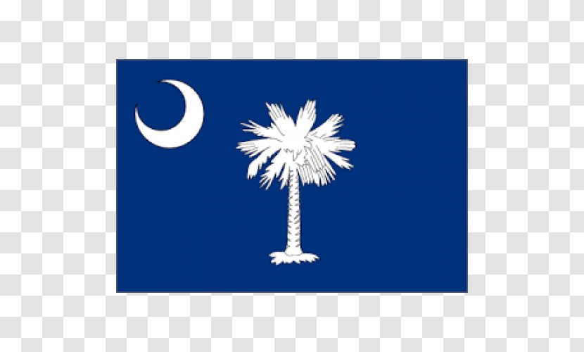 Flag Of South Carolina Inman The United States State Transparent PNG