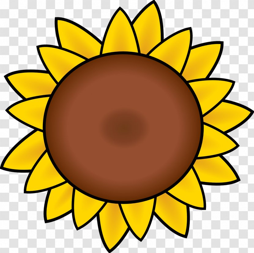 Line Art Clip - Drawing - Sunflower Transparent PNG