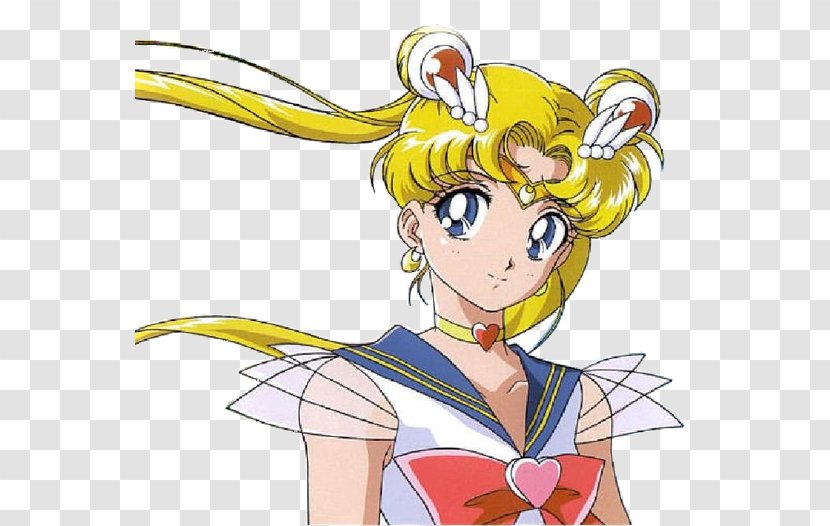 Sailor Moon Chibiusa Venus Television - Flower Transparent PNG