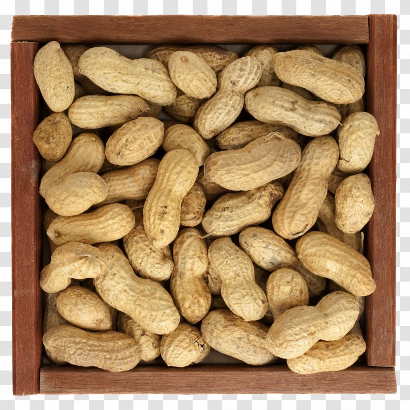 Peanut Food - Kuaci - A Plate Of Peanuts Transparent PNG