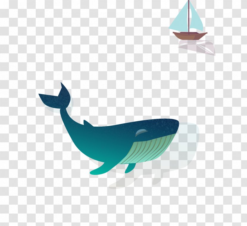 Shark Whale Euclidean Vector Transparent PNG