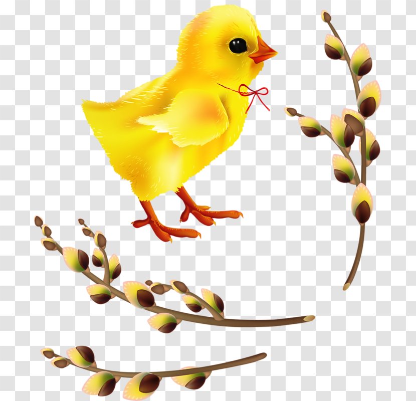 Chicken Easter Clip Art - Beak Transparent PNG