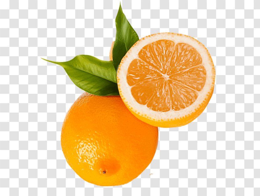 Clementine Mandarin Orange Tangerine Tangelo Rangpur - Grapefruit Transparent PNG