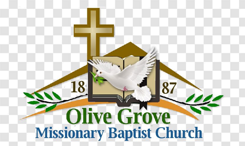 Logo Image Religion Brand Missionary - Baptists - Olive Grove Transparent PNG