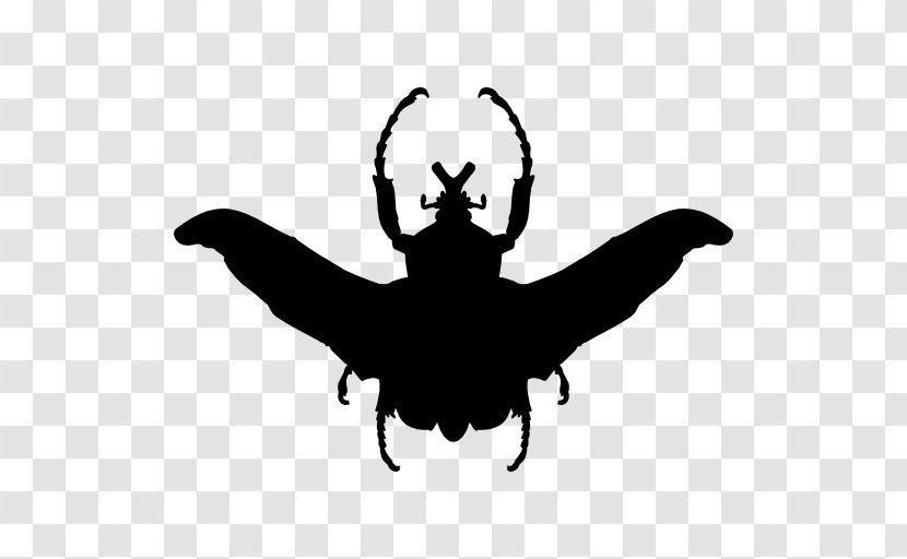 Beetle Clip Art Transparent PNG