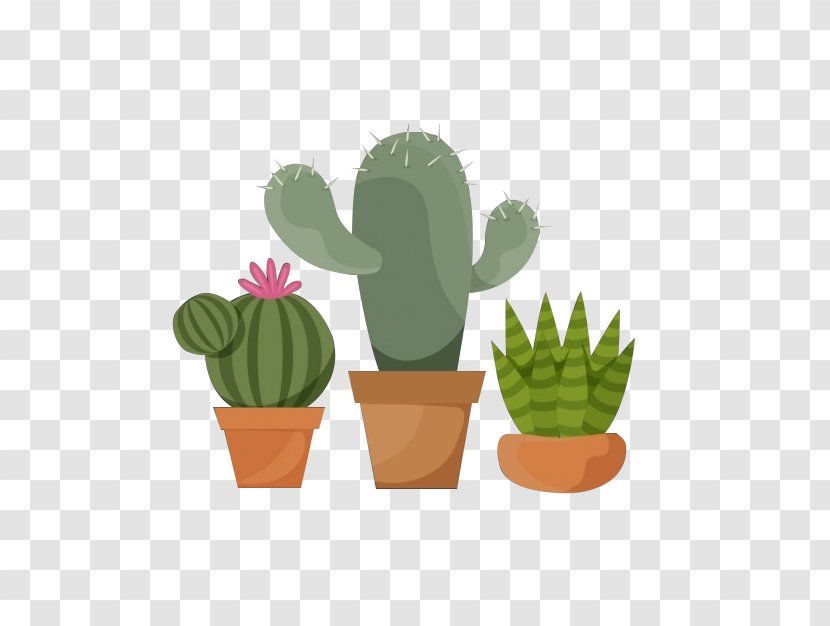 Cactaceae Flowerpot Plant - Resource - Potted Cactus Transparent PNG