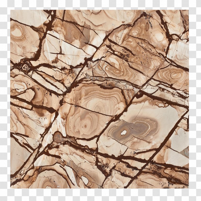 Marble Download Bark - Template - Ring Marbling Free Pictures Transparent PNG