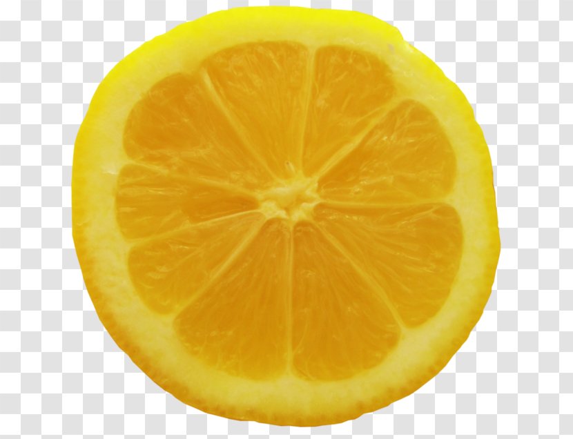 Sweet Lemon Rangpur Orange Lime - Bitters - Background tree Transparent PNG