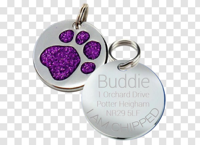 Cat Dingo Pet Tag French Bulldog - Jewellery - Purple Glitter Transparent PNG
