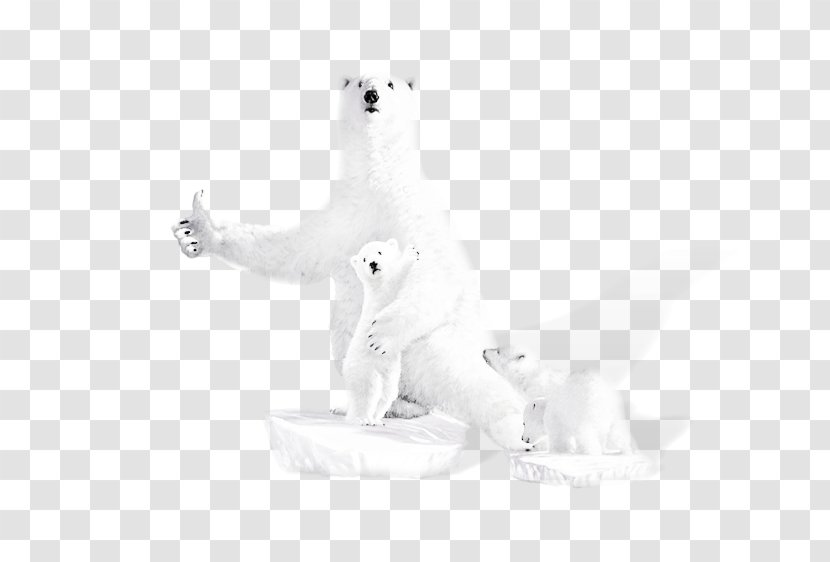 Polar Bear Black And White U718au5abdu5abdu8cb7u83dcu7db2 - Flower Transparent PNG