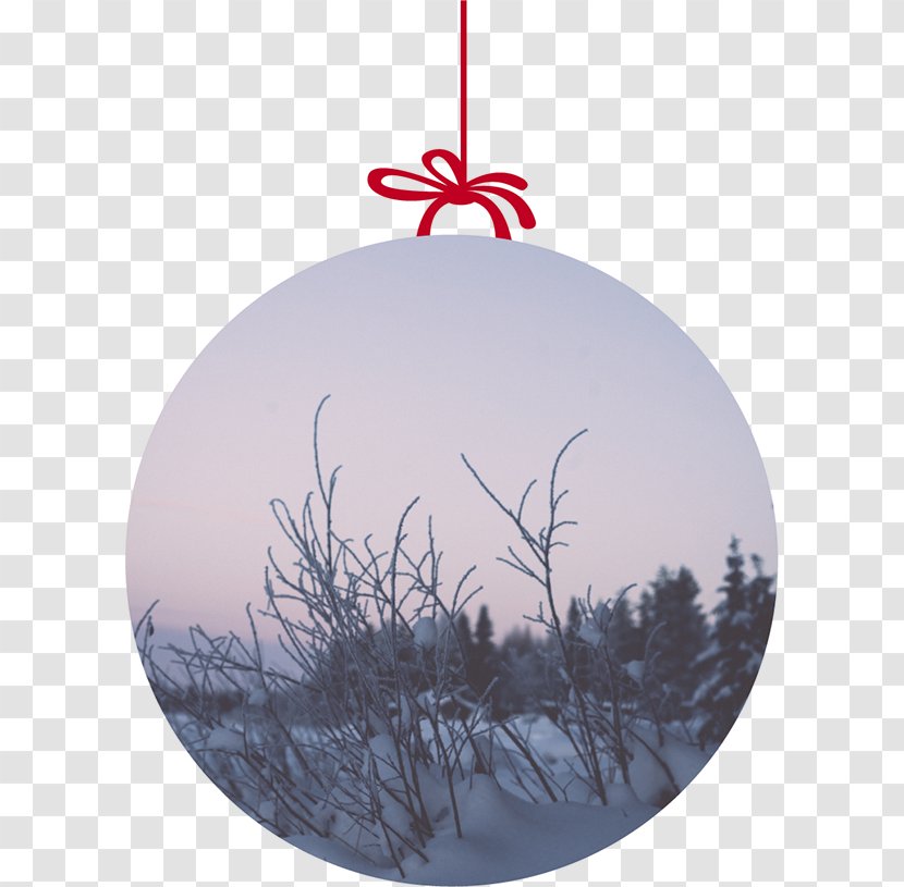 Christmas Tree Ornament Twig Pine Transparent PNG