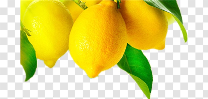 Grapefruit Juice Meyer Lemon Fruit Tree - Ponderosa - Yellow Transparent PNG