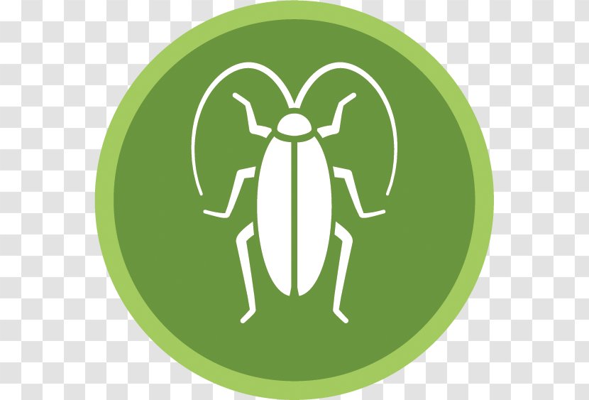 Oriental Cockroach Pest Control Insect Transparent PNG
