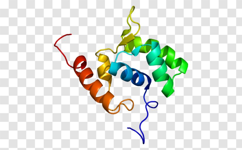 RNA Polymerase Protein Gene - Area Transparent PNG