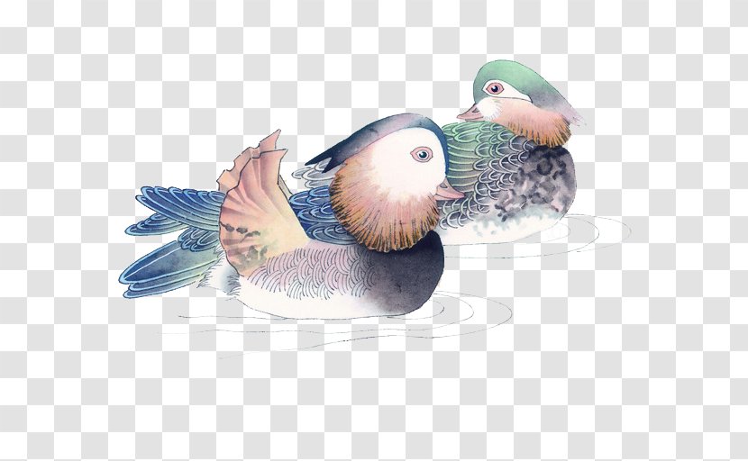 Ink Wash Painting Bird-and-flower Chinese - Livestock - Mandarin Duck Transparent PNG