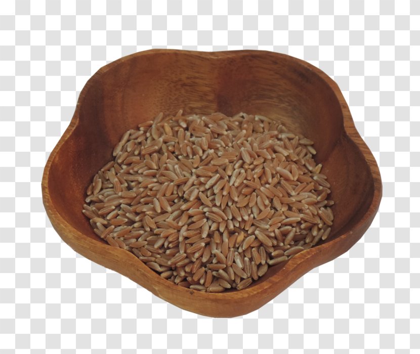 Emmer Whole Grain Einkorn Wheat Farro Berry Transparent PNG