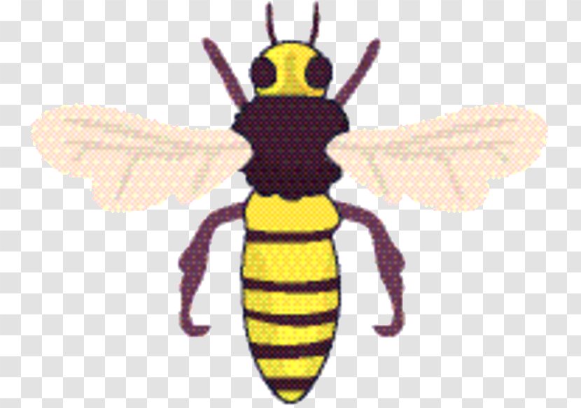 Bee Cartoon - Honey - Animal Figure Hoverfly Transparent PNG