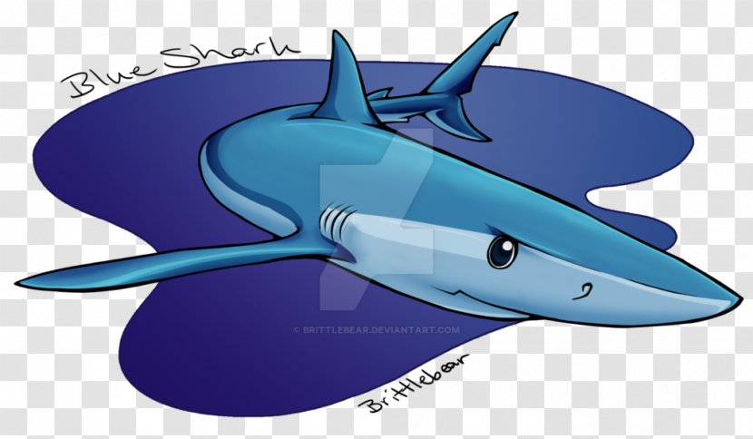 Shark Cobalt Blue Marine Biology Dolphin - Whales Dolphins And Porpoises - Bear Transparent PNG