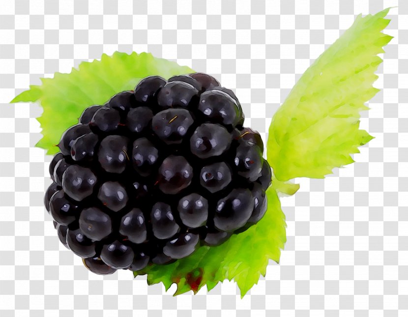 BlackBerry Z3 Image Limited 10 Z10 - Grape - Blackberry Transparent PNG