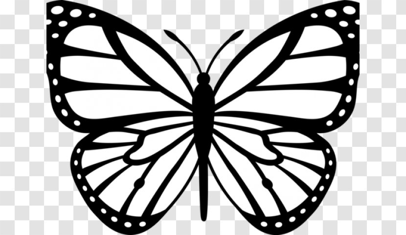 Monarch Butterfly Black And White Drawing Clip Art - Drawings Transparent PNG