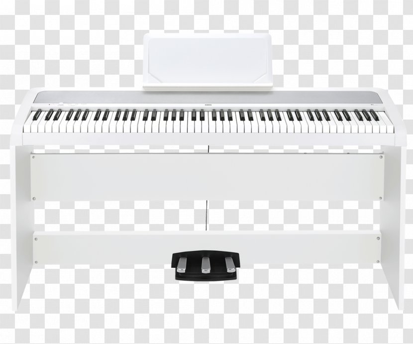 KORG B1SP Korg SP-280 Electronic Keyboard Digital Piano - Casio Privia Px160 Transparent PNG