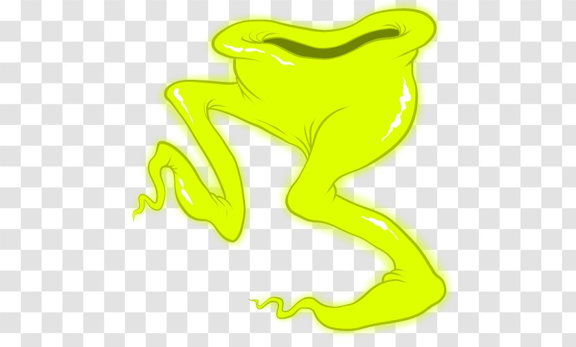 Tree Frog Toad Clip Art - Yellow Transparent PNG