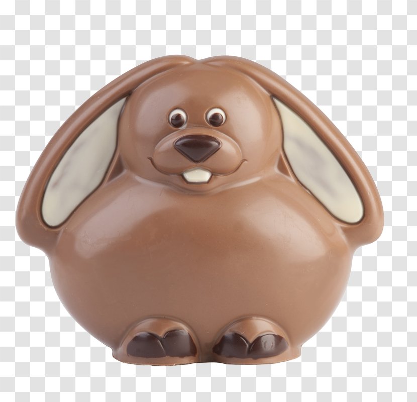 Brown Snout - Stephanie Transparent PNG