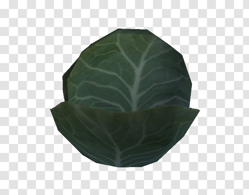 Plastic Leaf Plant - Cabbage Transparent PNG