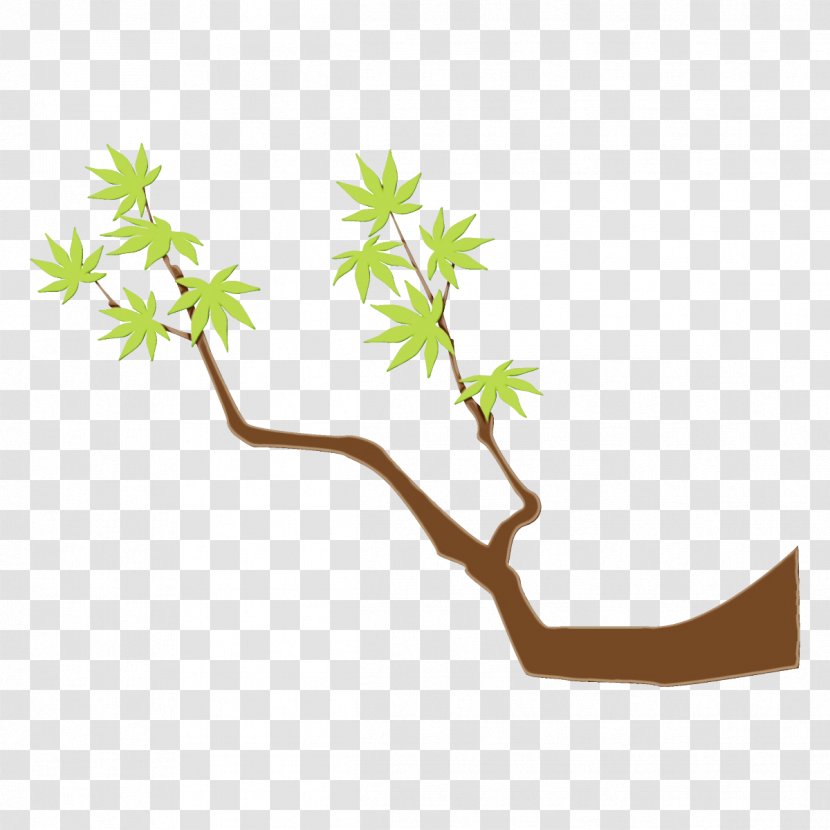 Branch Plant Tree Stem American Larch - Flower Transparent PNG